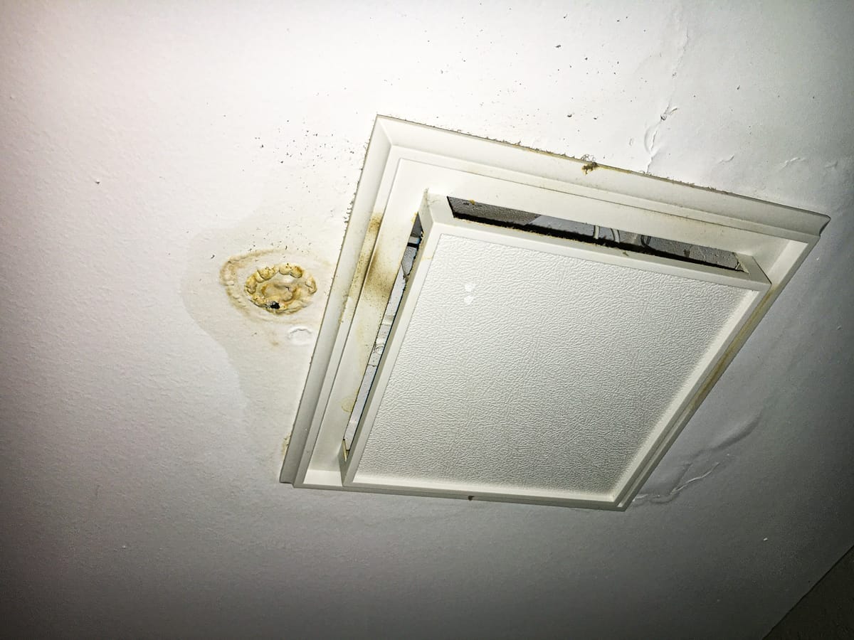Mold and water staining caused by excess moisture — the kind we remove and seal against in Wilmington crawl spaces